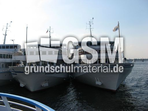 167 Flusskreuzfahrtschiffe.JPG